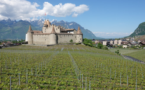 château d'Aigle