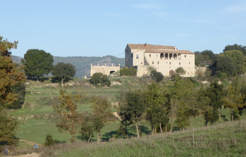 coll_sant_FruitosGuy