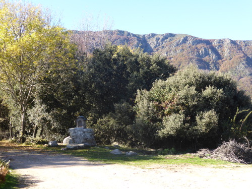 Serra de Montseny