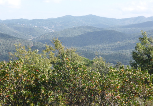 vue du coll de Taradell