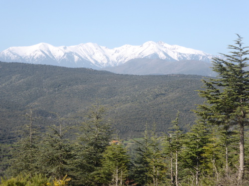 le Canigou
