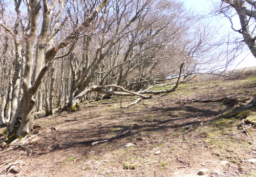 en montant au col des Emigrants