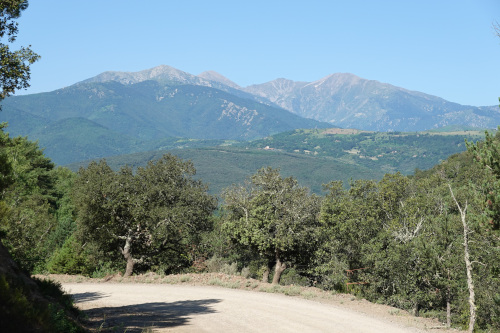 vue sur le Canigou