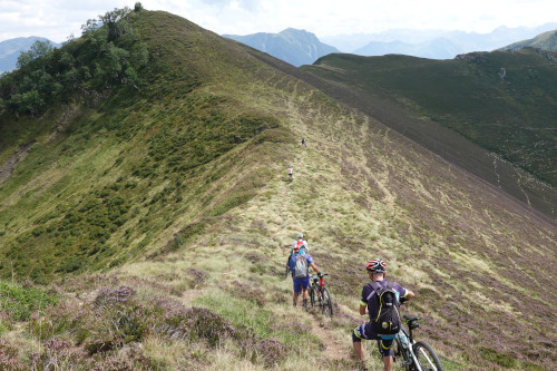 le long de la crête