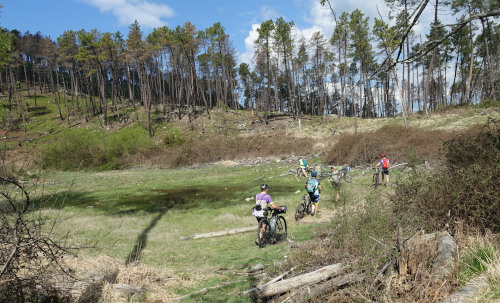 tourbière du colle Forcola