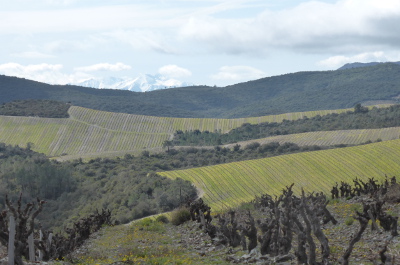 Canigou vu du col d'al Rouch