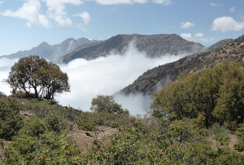 mer de nuages en montant au tizi n'Warg