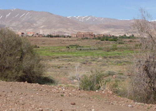 Telouet et sa kasbah