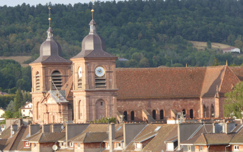 cathédrale de St Dié