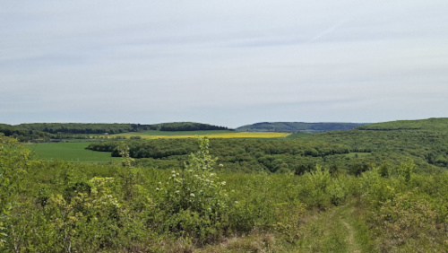 paysage Bourguignon