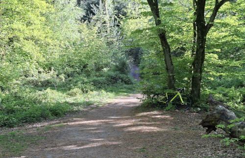 au col des Geroldseck