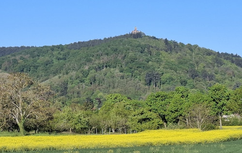 le Haut Koenigsbourg